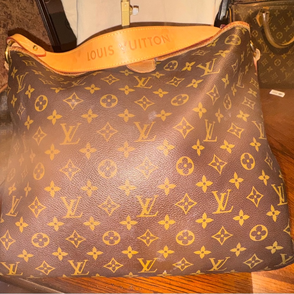 Louis Vuitton Monogram Canvas Delightful MM Shoulder Bag